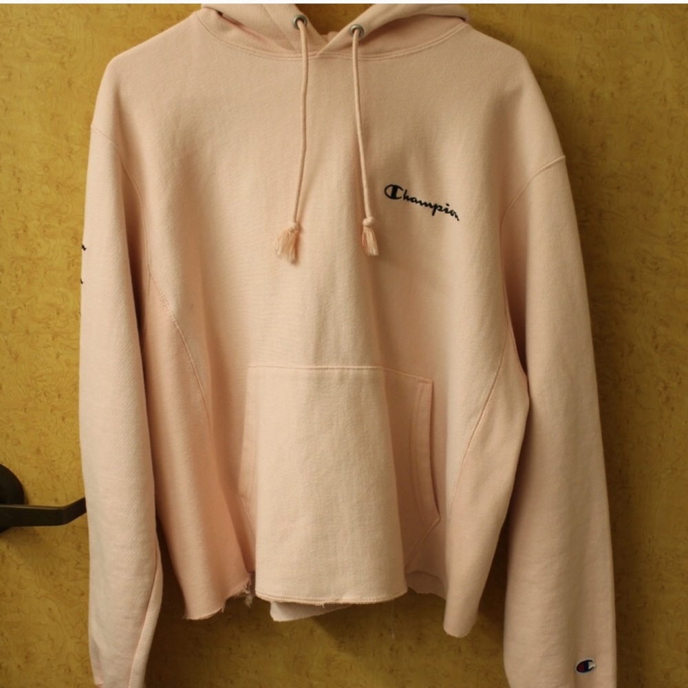 ISO CHAMPION HOODIES